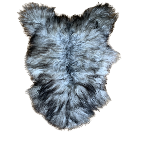 Icelandic sheep skin 1