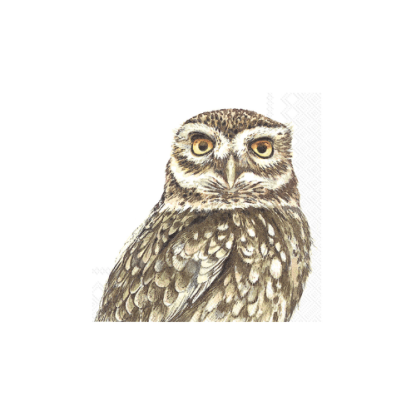 Owl Napkin